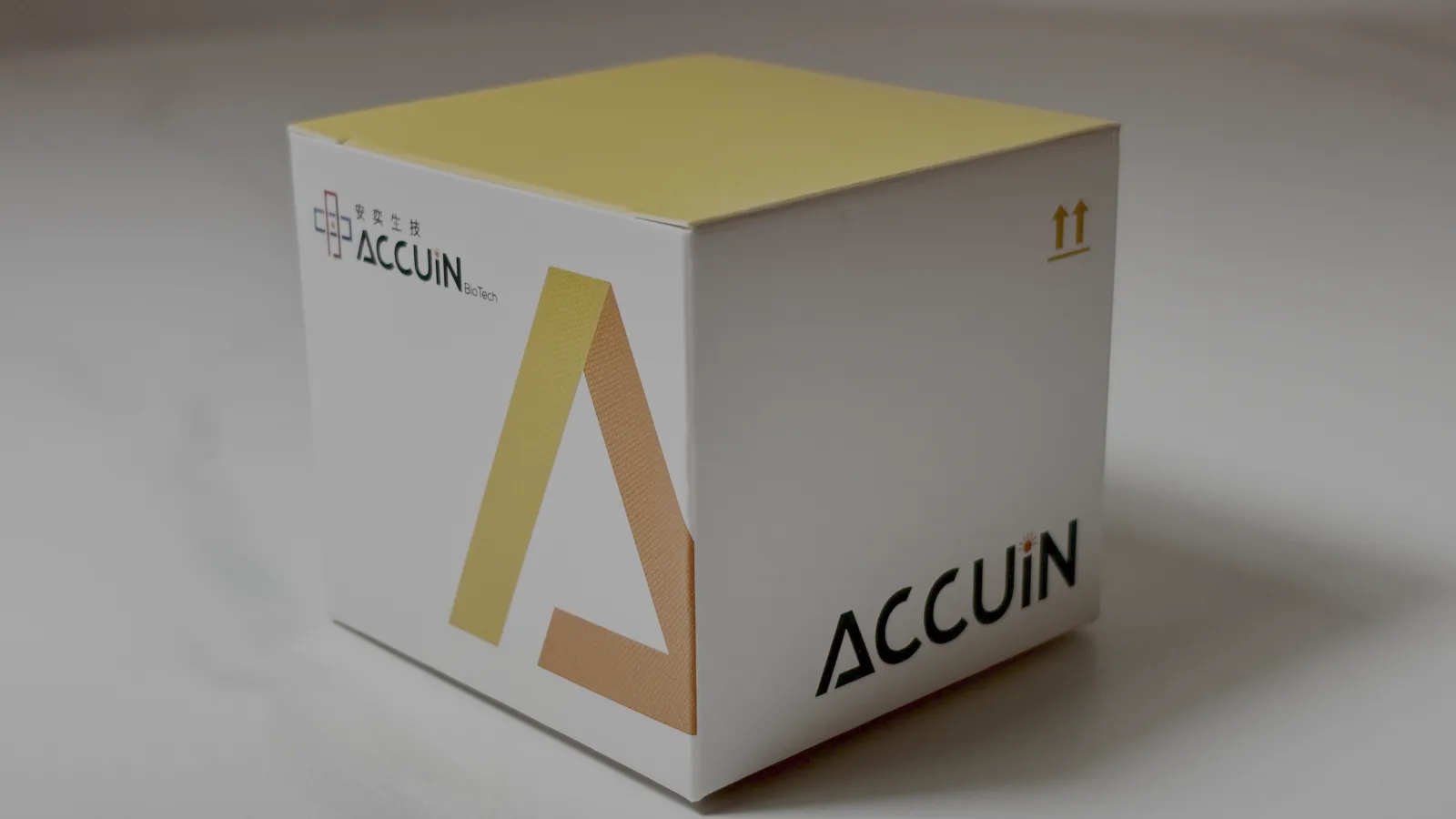 ACCUiN LCT 遺伝子型検査キット